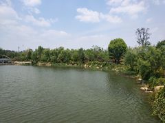 -洛龙公园
