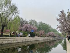 -元大都城垣遗址公园