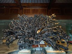 -乐山乌木文化博览苑