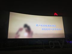 -枫花园汽车电影院(朝阳公园店)