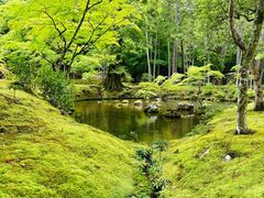 -西芳寺(苔寺)