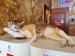 -萧邦音乐会所KTV·蒸汽活海鲜自助(福田店)