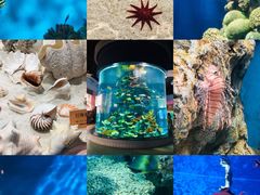 -福州罗源湾海洋世界旅游区