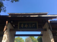 -洪崖丹井