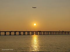 -宝安西湾红树林湿地公园