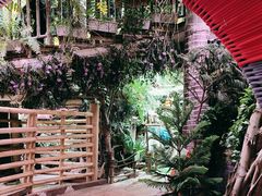 -正佳雨林生态植物园