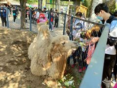 -长白岛森林公园