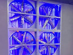 -关你鬼室大型密室逃脱(佛山创意园店)