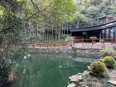 -十八棵（老龙井）御茶园(老龙井店)