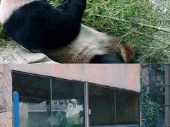 -杭州野生动物世界