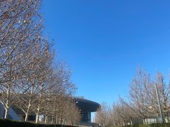 -羲和雅苑•北京烤鸭(乐园道万象城店)