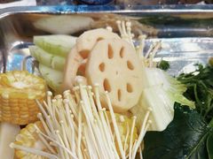 -金鼎雪山牦牛杂火锅(理县总店)