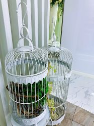 点击看大图 -HQ半永久纹绣纹眉
