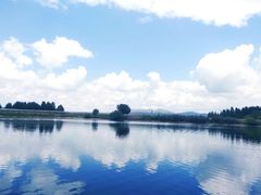 -塞罕坝国家级自然保护区