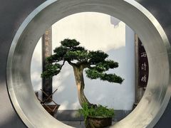 -蜀大侠·侠客印象(园林博物馆店)