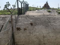 -石家庄市动物园