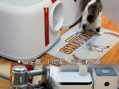 -COLOR PETS 撸猫馆·购猫·猫咖(长风大悦城店)