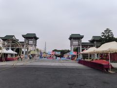-王借岗森林公园
