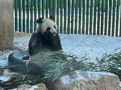 -沈阳森林动物园