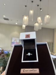 -Cindy Jewelry·钻戒·彩色宝石
