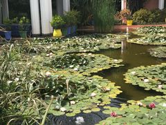 -马洛雷勒花园