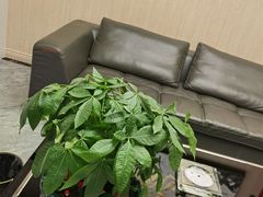 -笑傲江湖·影院式足道·SPA按摩(常发广场店)