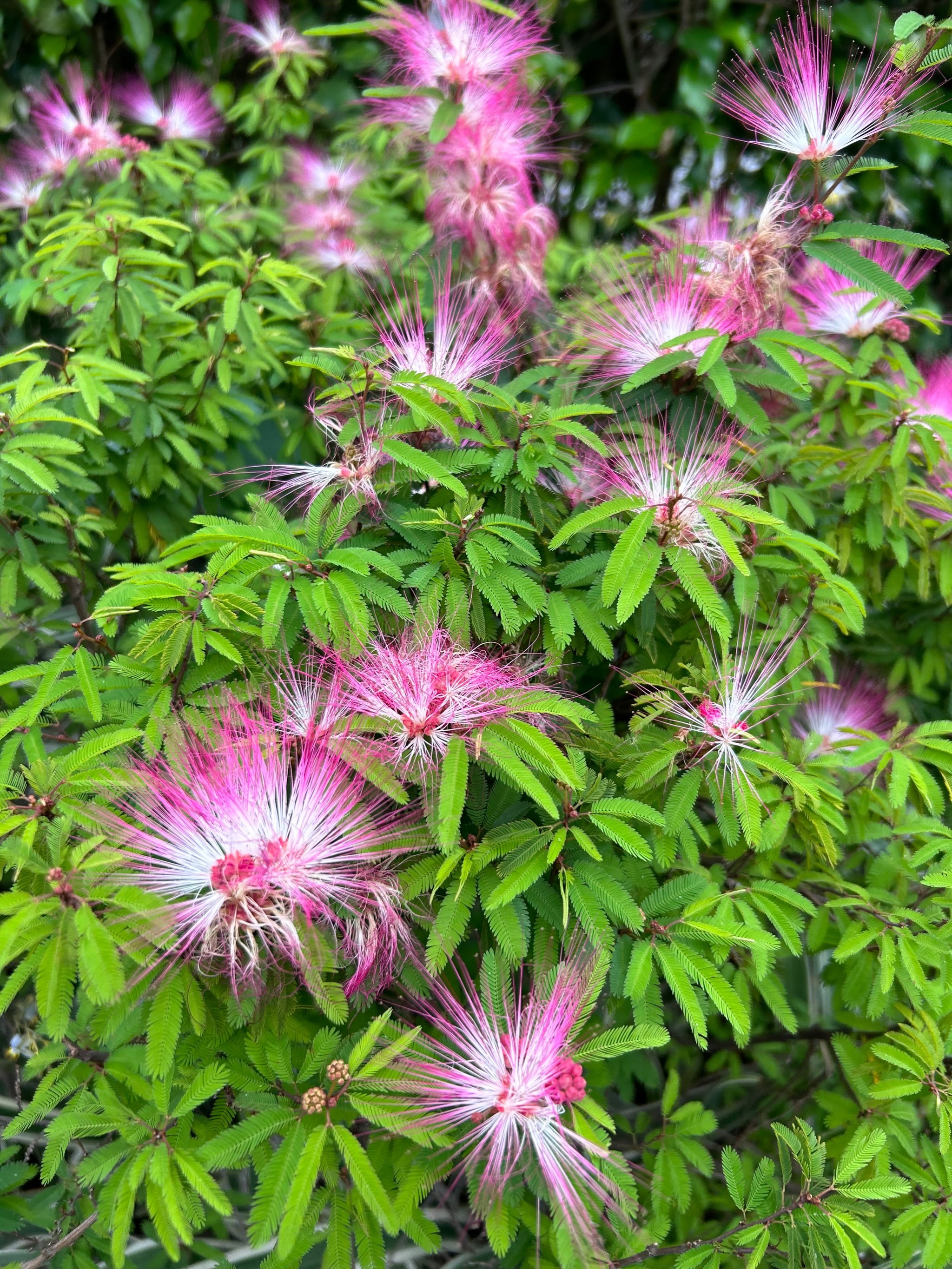 带小孩喂鱼好地方