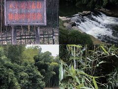 -杭州植物园
