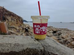 -南澳岛打卡果汁冰公司