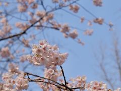 -静安雕塑公园