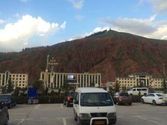 -杨家饭馆(八宝店)