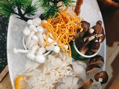 -洪氏嗨捞·猪肚鸡火锅(阳光天地店)