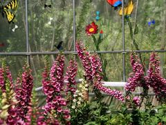 -西湖风景区-江洋畈生态公园