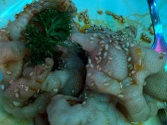-MOSSO音乐酒吧·Live House(南京西路店)