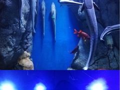 -成都浩海立方海洋公园