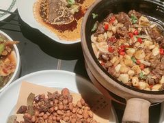 -三强鸽子(中原路店)