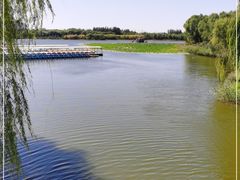 -大兴滨河森林公园