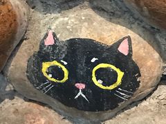 -猫咪博物馆(顶澳仔猫街店)