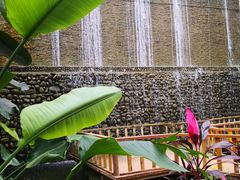 -呀路古热带植物园