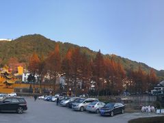 -九华山聚龙大酒店