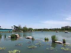 -清真·锦翔炝锅鱼(明德门店)