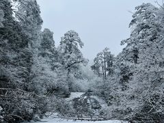 -龙苍沟森林公园