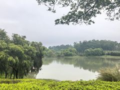 -福建鲤鱼洲酒店