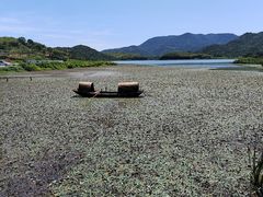 -鸣鹤古镇
