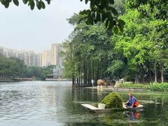 -荔湾湖公园