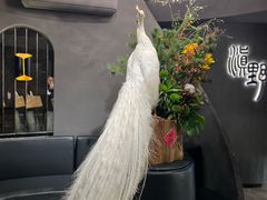 -滇野云南野生菌餐厅(陕西南路店)