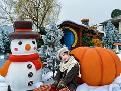 -南京银杏湖乐园