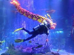 -沈阳海洋探索中心