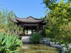 -上海滨江森林公园