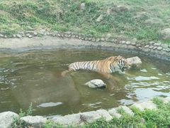 -西安秦岭野生动物园